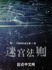 迷宫法则 迷宫法则