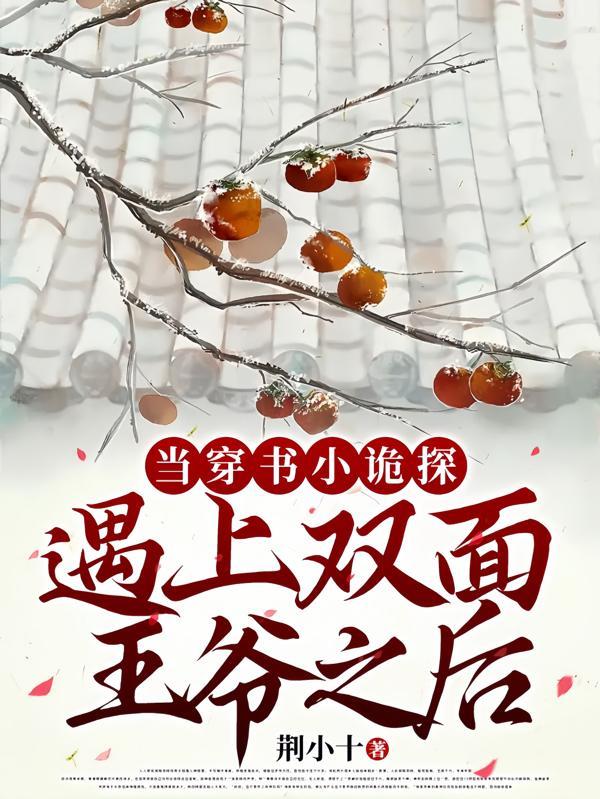 当穿书小诡探遇上双面王爷之后 当穿书小诡探遇上双面王爷之后