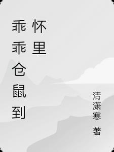 乖乖仓鼠到怀里 乖乖仓鼠到怀里