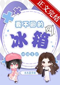 要不回的冰箱 要不回的冰箱