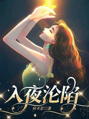 入夜沦陷 入夜沦陷