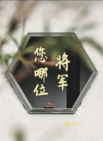 将军,您哪位 将军,您哪位