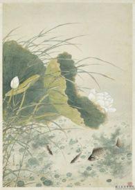 野有蔓草 野有蔓草